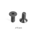 2.5x6mm Thin Flat Screw (10)