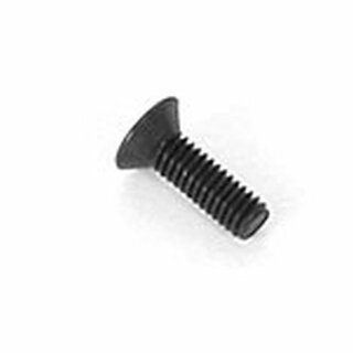 2.5x8mm Flat Screw (10)