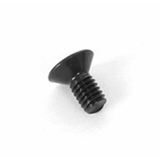 4x8mm Flat Screw (10)