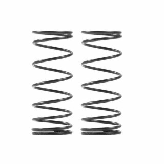 XRAY 368182 - XB2 - Federn vorne - 1 Streifen + 3 Punkte (2)