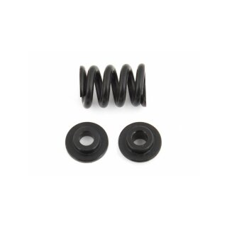 Team Associated B6.1 Slipper Spring