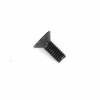 4x10mm Flat Screw (10)