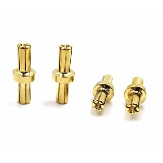 T-Works EA-029-5 - 5mm Goldstecker - Doppelstecker (4 Stück)