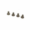 R12 Upper Deck Screw (4) (ersetzt durch R122026)