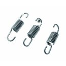 Spring for .21 Manifold /Pipe (3pcs)