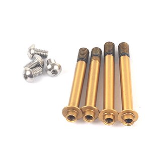 R8.3 Shock Shaft-Titanium Coating (4)