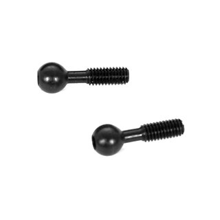 Anti Roll Bar Screw (2)