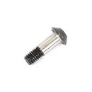 Ball Bearing Screw (2)